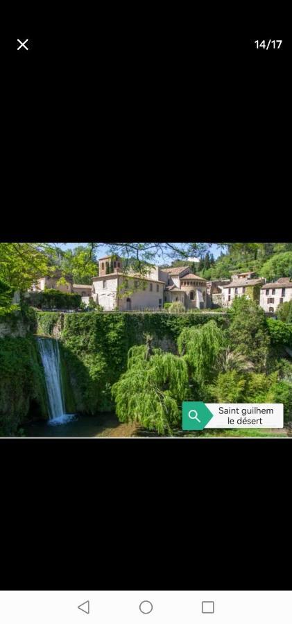 Jolie appartement à 10 minutes du lac du salagou Cabrieres  Exterior foto